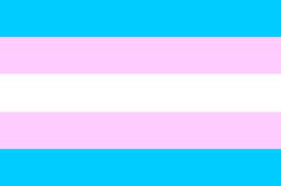 transgender flag