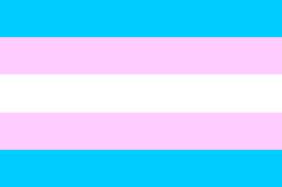 transgender flag