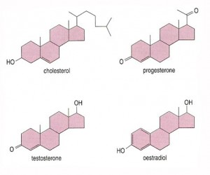 compare hormone molecules