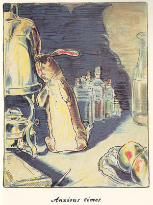 Velveteen Rabbit in the sack