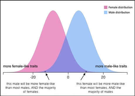 graph of overlapping Gaussian distribution of sex traits